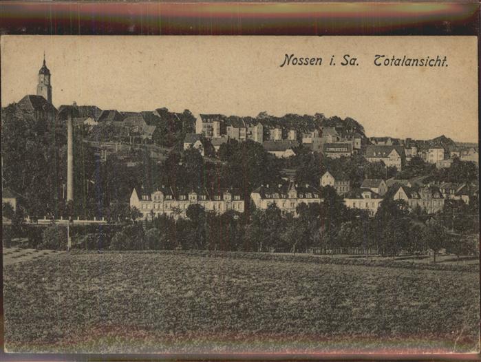 Nossen Totalansicht