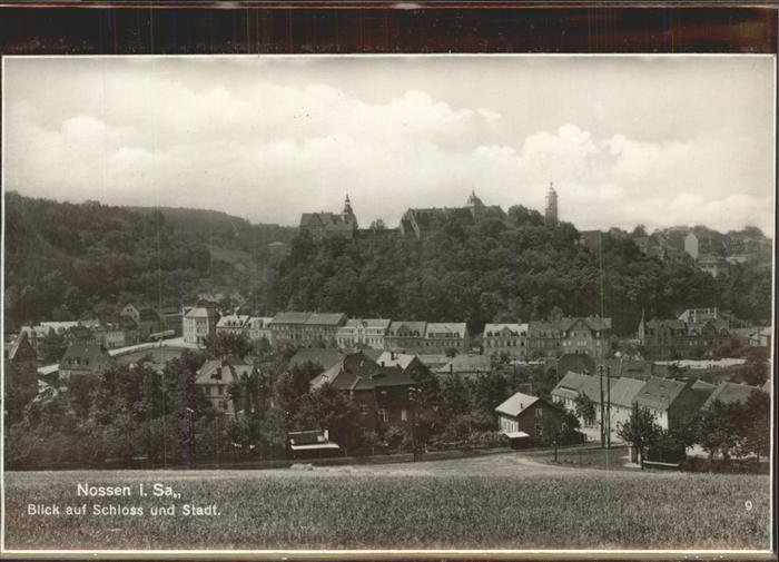 Nossen Blick auf Schloss und Stadt
