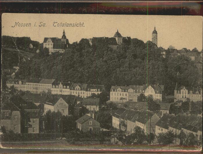 Nossen Totalansicht Schloss Kirche