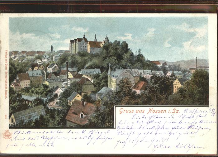 Nossen Blick zum Schloss