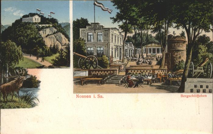 Nossen Bergschlösschen Park Turm Kanone Hirsch