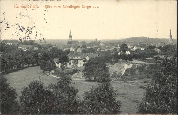 Koenigsbrueck Teilansicht Blick vom Scheibigen Berg