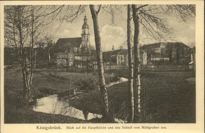 Koenigsbrueck Blick auf Hauptkirche und Schloss vom M