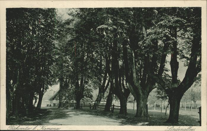 Kamenz Sachsen Lindenallee