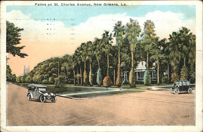 New Orleans Louisiana Palms on St. Charles Avenue