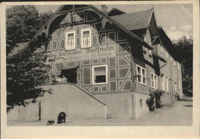 Eisenach Thueringen Pensionshaus Waldfrieden