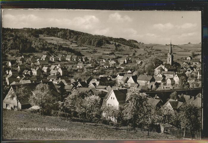 Hartenrod Gladenbach Blick vom Scheiderwald