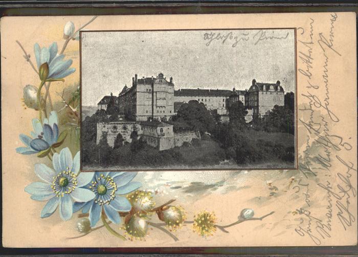 Pirna Elbe Sachsen Sonnenstein