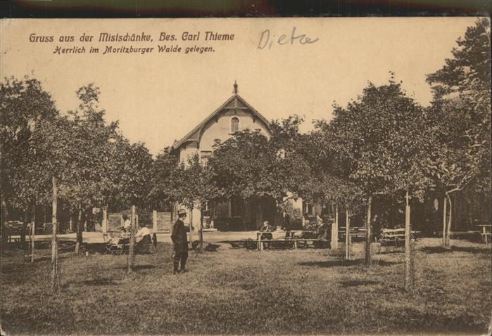Moritzburg Sachsen Mistschänke Moritzburger Wald