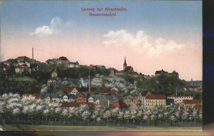 Leisnig Kirschblüte Gesamtansicht