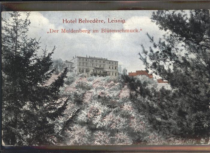 Leisnig Hotel Belvedere der Muldenberg