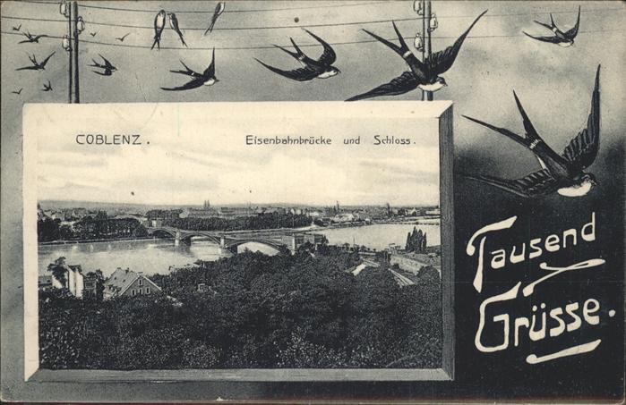 Koblenz Rhein Eisenbahnbrücke Schloss