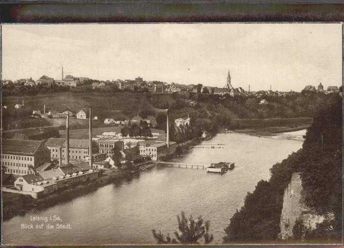 Leisnig Panorama