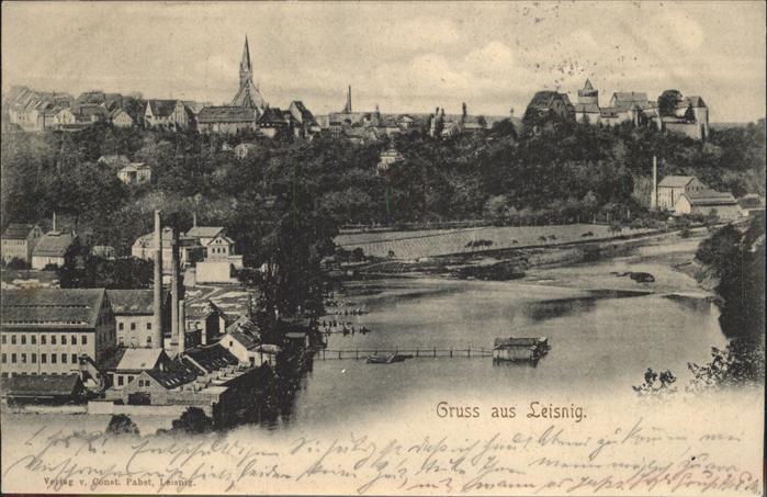 Leisnig Panorama