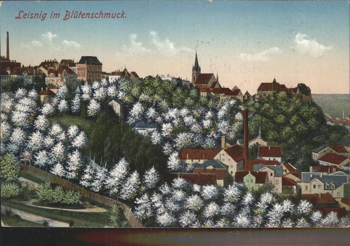 Leisnig im Blütenschmuck Künstlerkarte