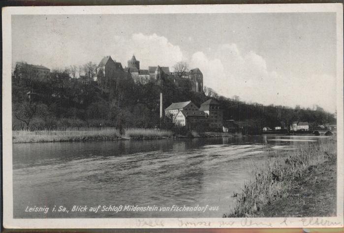 Leisnig Blick von Fischendorf auf Schloss Milde