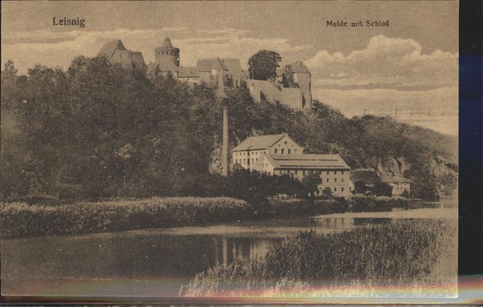 Leisnig Mulde mit Schloss