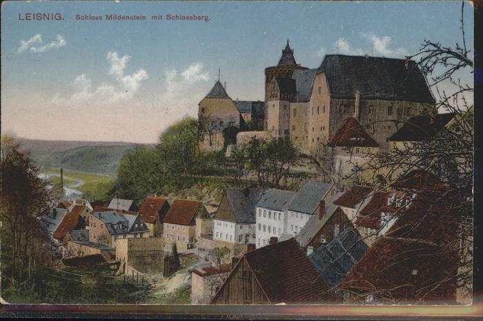 Leisnig Schloss Mildensten mit Schlossberg