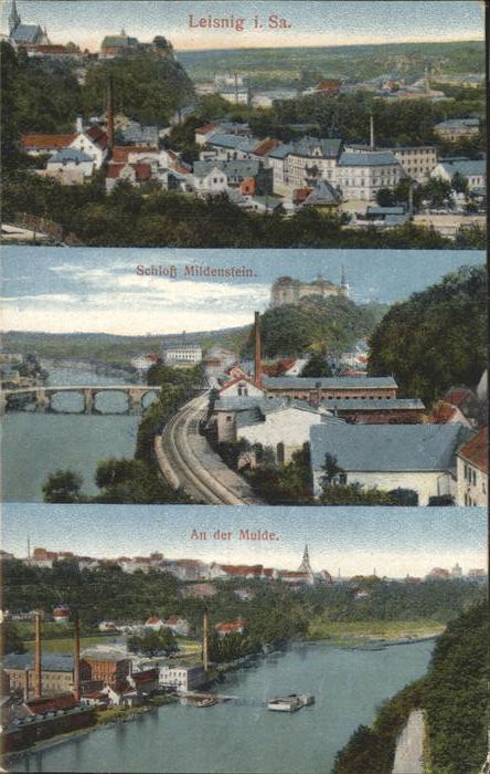 Leisnig Panorama An der Mulde Schloss Mildenstein