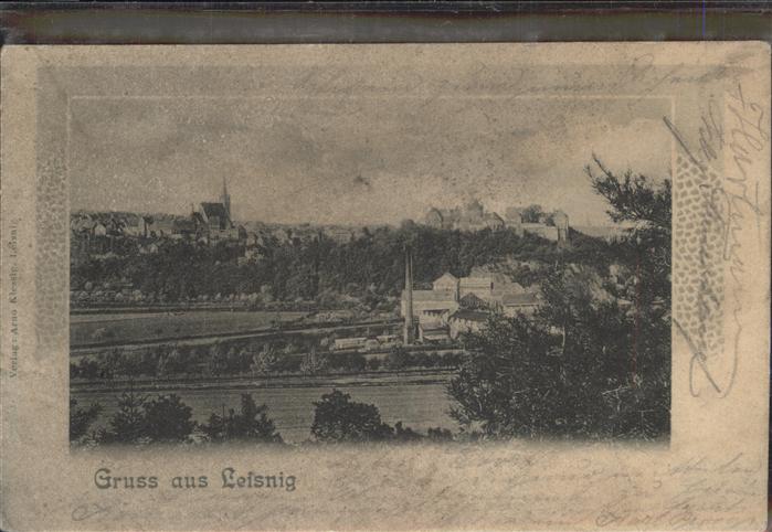 Leisnig Panorama
