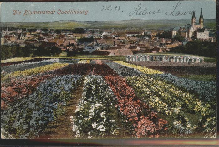 Quedlinburg Harz Blumen Gesamtansicht