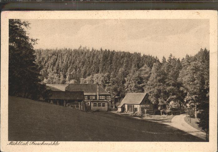 Muehltal Thueringen Froschmühle