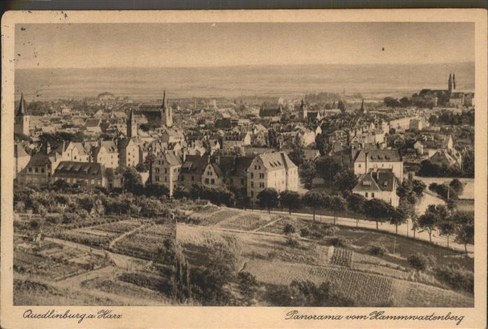 Quedlinburg Harz Hammwartenberg Panorama