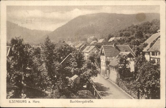 Ilsenburg Harz Buchbergstrasse