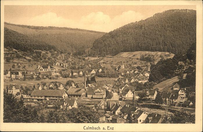 Calmbach Enz Panorama