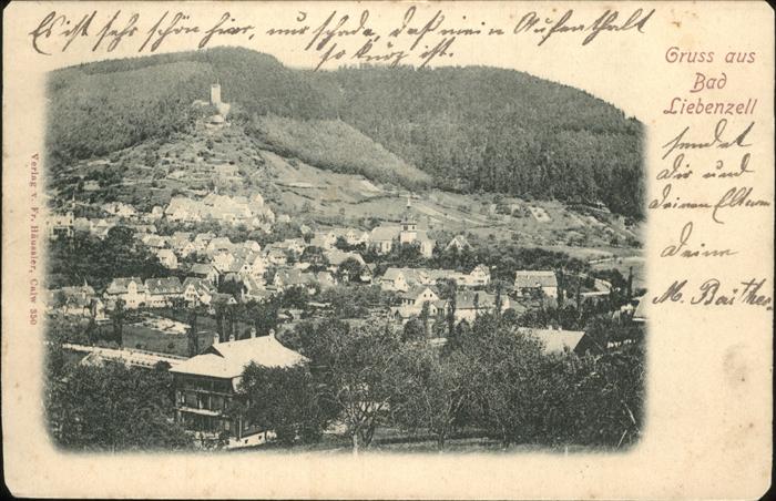 Bad Liebenzell Teilansicht mit Stauferburg