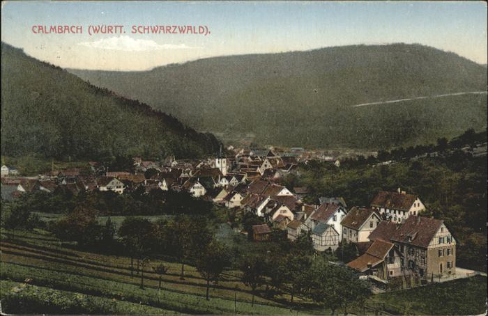 Calmbach Enz Panorama