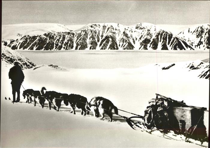Pearyland Groenland Nordpol Expedition Hundeschlitten