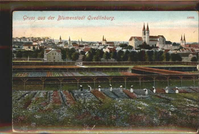 Quedlinburg Harz Schloss Blumen