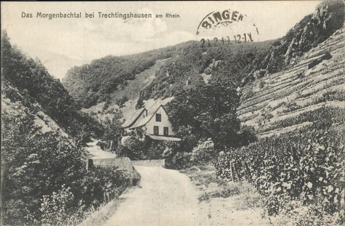 Trechtingshausen Morgenbachtal