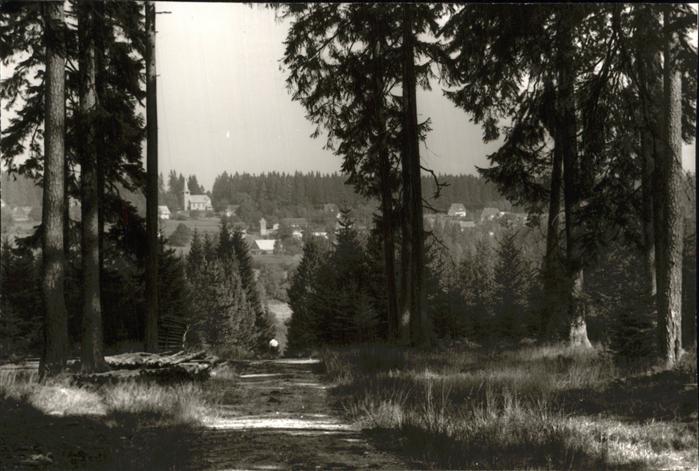 Oberbraend Partie im umliegenden Wald