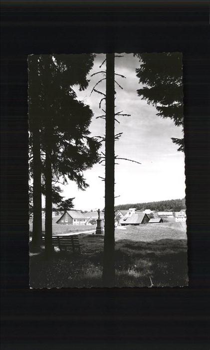 Oberbraend Partie am Waldrand mit Blick zum Ort