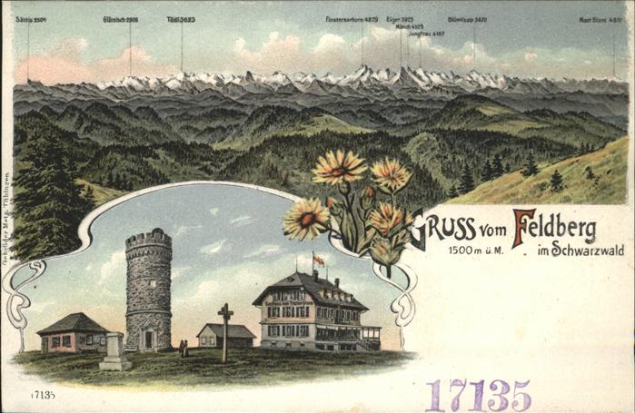 Feldberg Schwarzwald Panorama mit Alpenblick Gasthaus zum Fe