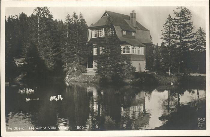 Feldberg Schwarzwald Hotel und Pension Hebelhof mit Villa Vr