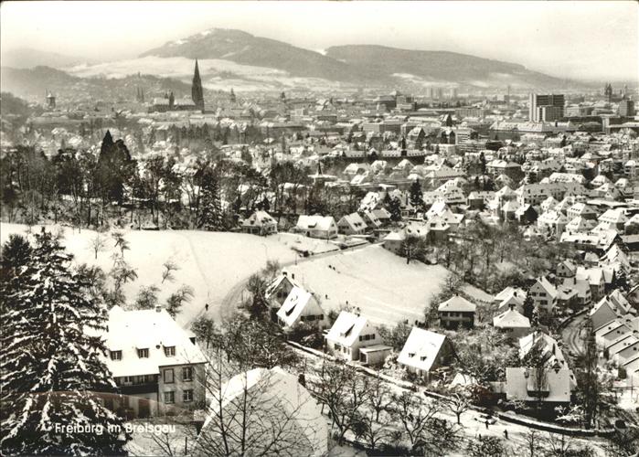 Freiburg Breisgau Panorama