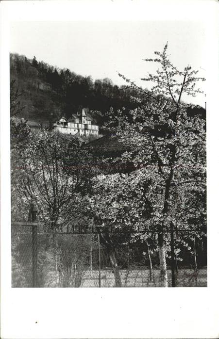 Freiburg Breisgau Fr?hling