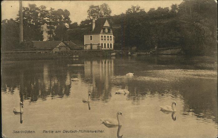 SAARBRueCKEN Saarland Am Deutsch Muehlenweiher Schwaene