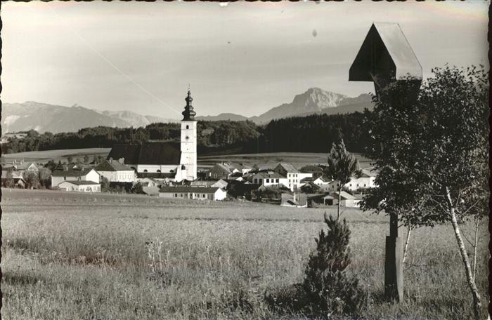 Waging See Panorama mit Alpenblick Wegekreuz Kirch