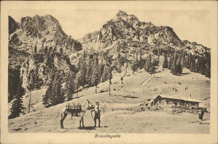 Prien Chiemsee Brünlingalm Esel