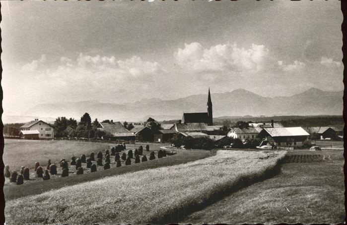 Kammer Traunstein Oberbayern Partie am Ortsrand Erntezeit