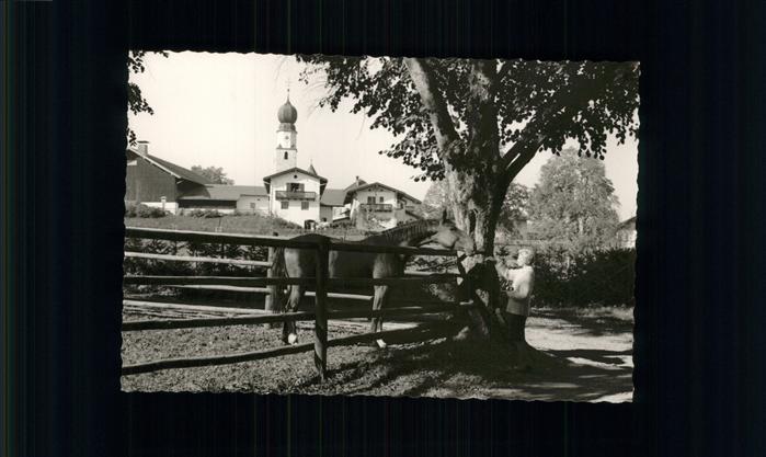 Ising Chiemsee Partie an der Reithalle Pferdekoppel Ki