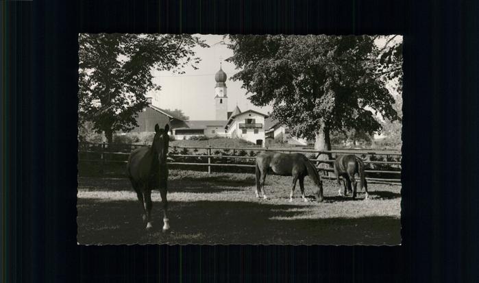 Ising Chiemsee Partie an der Reithalle Pferdekoppel Ki