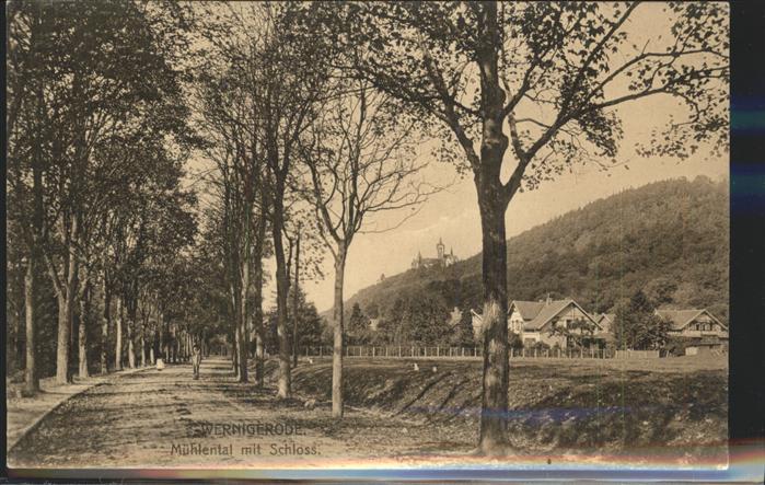 Wernigerode Harz Mühlental mit Schloss Baumallee