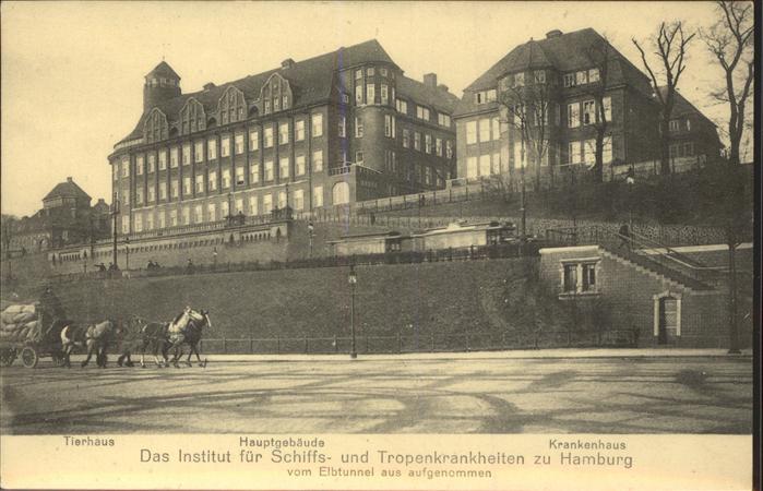 HAMBURG  CITY Institut fuer Schiffs- und Tropenkrankheiten Pferdewagen