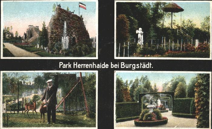 Burgstaedt Sachsen Park Herrenhaide Fahne Feldpost