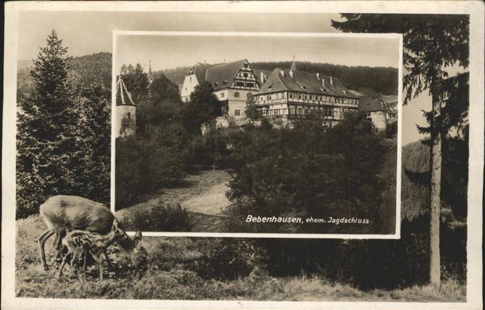 Bebenhausen Tuebingen Jagdschloss Reh